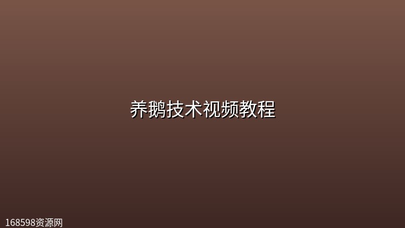 养鹅技术视频教程 养鹅技术视频教程封面图