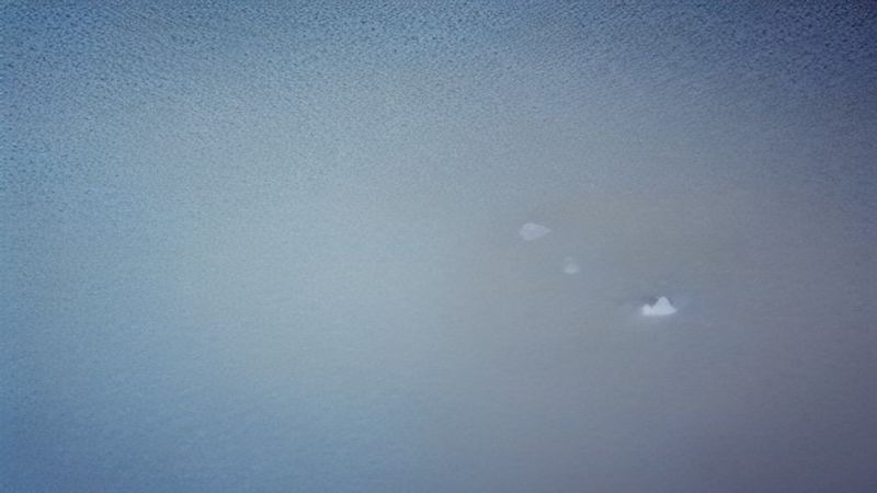 名称：杀戮都市：O (2016) 4K 外挂简中字幕