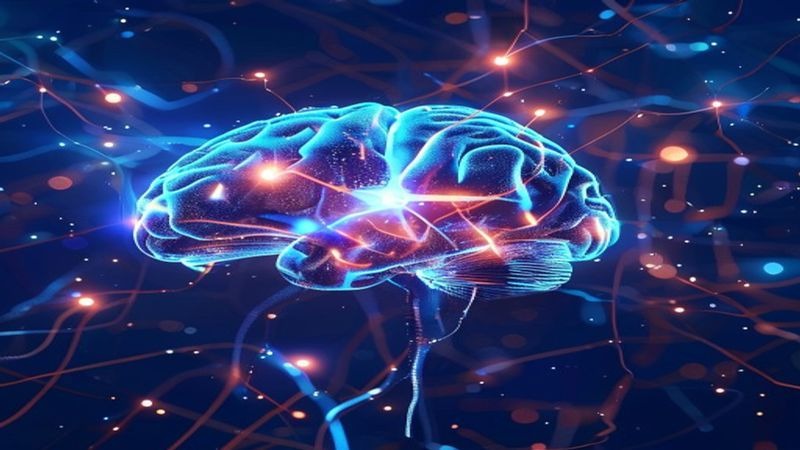 包爱民教授：脑科学新知20讲封面图