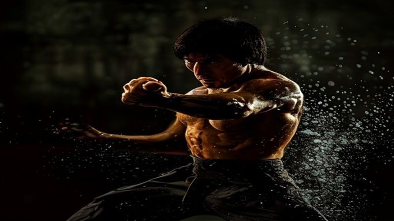 全解李小龙寸劲拳李小龙武学理念pdf 全解李小龙寸劲拳李小龙武学理念pdf封面图