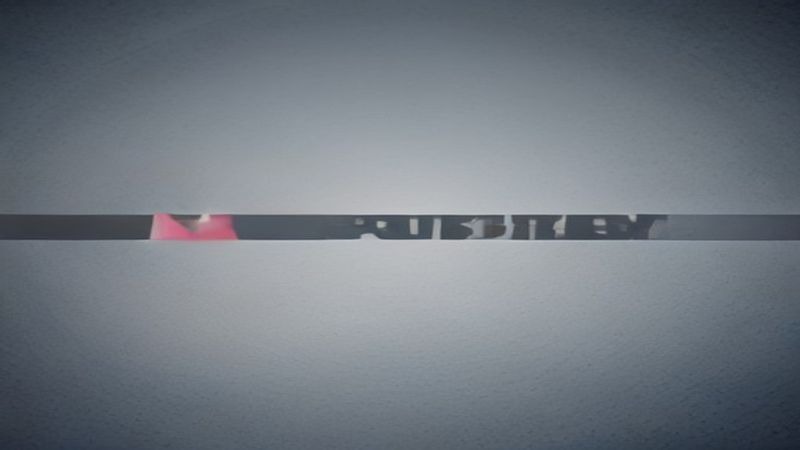 名称：择日飞升 (2026) 4K 第9集/国漫 和谐快