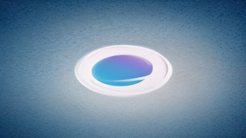 名称：早春晴朗（2026）4K 60FPS 10BIT S01E01 – E12 DTS音轨 +NF 1080p 内封简繁 双版本 HiveWeb