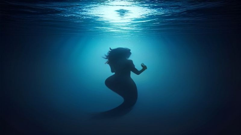 人鱼 (2026)剧情 悬疑 刘孜 张开泰 4KHDR60FPS 更新05集 人鱼 (2026)剧情 悬疑 刘孜 张开泰 4KHDR60FPS 更新05集封面图