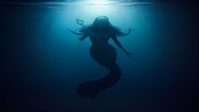 人鱼(2026) 4K 更新至11集 人鱼(2026) 4K 更新至11集封面图