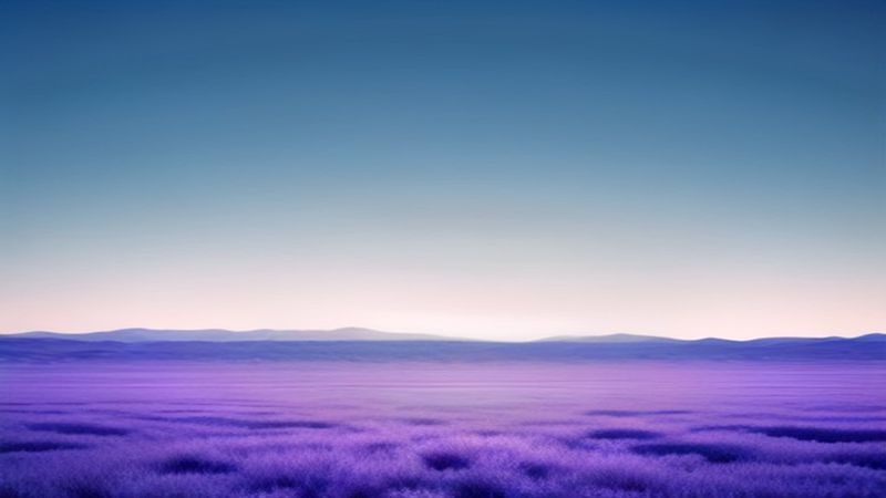 名称：脱口秀和Ta的朋友们 第三季/脱口秀和Ta的朋友们3 (2026) 张绍刚 陈鲁豫 大张伟 周深 真人秀 脱口秀 0816期