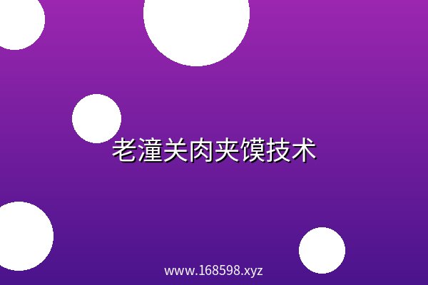 老潼关肉夹馍技术 阿里云盘