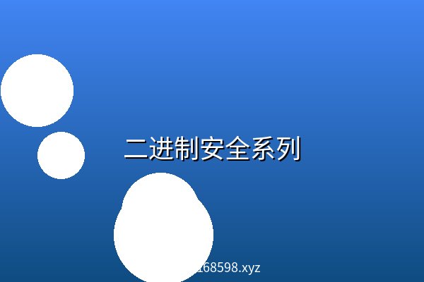 二进制安全系列