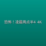 恐怖！凌晨两点半4 (2026) 4K [附前3部]