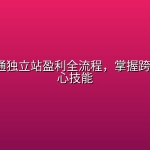 5节课跑通独立站盈利全流程，掌握跨境电商核心技能