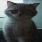 🐭 【猫和老鼠】童年经典豪华合集｜《猫和老鼠》1–14季＋大电影＋周年4K珍藏版＋方言版