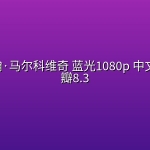 【原盘REMUX】成为约翰·马尔科维奇 (1999)蓝光1080p 中文字幕 豆瓣8.3