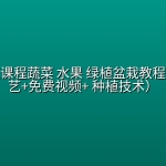 阳台种植课程蔬菜 水果 绿植盆栽教程（家庭园艺+免费视频+ 种植技术）