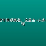AI+退休老年情感赛道，流量主 +头条号双重变现