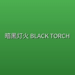 暗黑灯火 BLACK TORCH (2026) [1080P] [内封简繁] [全12集]
