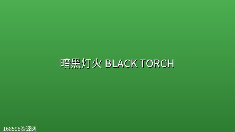暗黑灯火 BLACK TORCH (2026) [1080P] [内封简繁] [全12集]封面图 1080P高清 2026年