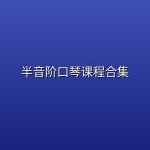 半音阶口琴课程合集