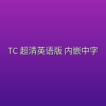 【生化危机：爆发夜】TC 超清英语版 内嵌中字
