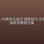 【精品教程】全网最全-付费声乐技巧 唱歌技巧 乐理课程 视唱练耳教程合集