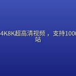 一键下载4K8K超高清视频 ，支持1000+视频网站