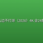 云边不打烊（2026）4K 全24集
