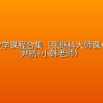 乒乓球教学课程合集（张继科大师课+全世爆+尹航+小韩老师）