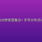 【硬核学堂】开发内功修炼营集合+ 手写分布式IM系统