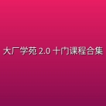 大厂学苑 2.0 十门课程合集