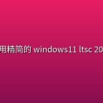 自用精简的 windows11 ltsc 2024