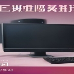 王树的保姆级IP孵化课2.0