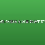好搭档(2024) 4K高码 全16集 韩语中文字幕