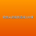 【精品教程】瑜伽从初级到高级100课