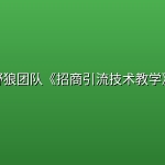 野狼团队《招商引流技术教学》