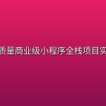 全新高质量商业级小程序全栈项目实战完结