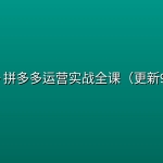 宗泽·拼多多运营实战全课（更新9月）