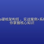 尼恩Java硬核架构班 ，实战案例+系统知识助你掌握核心知识
