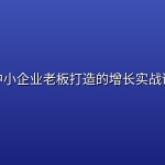 中小企业老板打造的增长实战课