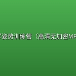 【唐立鹏老师】书写姿势训练营（高清无加密MP4）