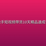 快手短视频带货10天精品速成课