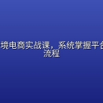 Temu跨境电商实战课，系统掌握平台运营全流程