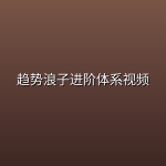 趋势浪子进阶体系视频