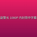 副警长(2026) 1080P 内封简中字幕