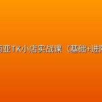 东南亚TK小店实战课（基础+进阶）