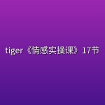 tiger《情感实操课》17节