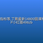 丁鹏资料指标等,丁鹏最新14800圆课程+全套VIP小红圈498zb