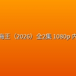 乐高航海王（2026）全2集 1080p 内封简繁
