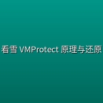 看雪 VMProtect 原理与还原