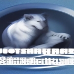 Word文档排版工具，一键自动排版+格式美化