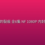 消失的裂痕(2026) 全6集 NF 1080P 内封简繁