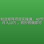 小红书虚拟店矩阵项目实操课，40节完整教程月入10万 ，照抄照做即可