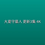 大夏守墓人(2026) 更新3集 4K